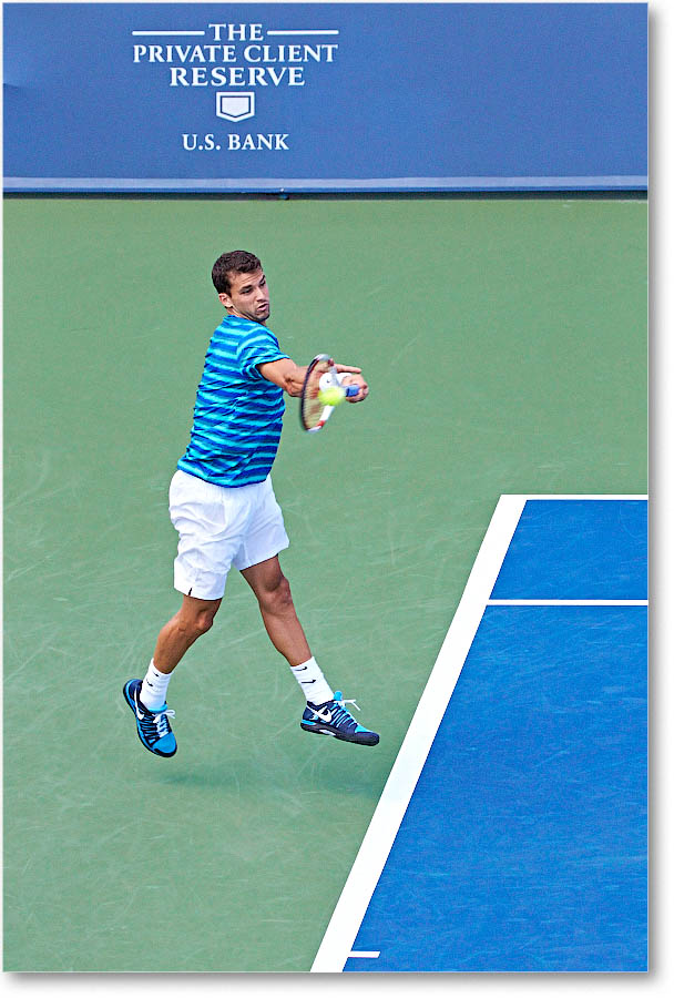 Dimitrov_(l_Janowicz_R32)_Cincy2014_2DXA3193 copy
