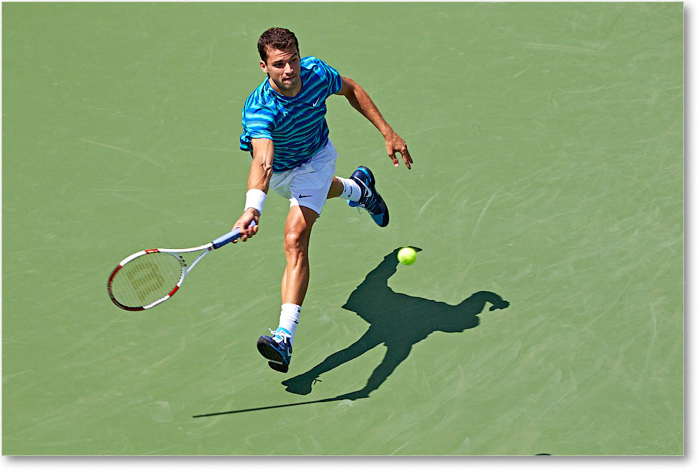 Dimitrov_(l_Janowicz_R32)_Cincy2014_2DXA3211 copy