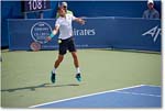 Dimitrov_(d_Johnson_QF)_Cincy2016_4DXA5496 copy