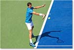 Dimitrov_(l_Janowicz_R32)_Cincy2014_2DXA2988 copy