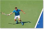 Dimitrov_(l_Janowicz_R32)_Cincy2014_2DXA3007 copy
