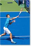Dimitrov_(l_Janowicz_R32)_Cincy2014_2DXA3066 copy