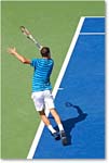 Dimitrov_(l_Janowicz_R32)_Cincy2014_2DXA3107 copy