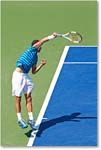 Dimitrov_(l_Janowicz_R32)_Cincy2014_2DXA3120 copy