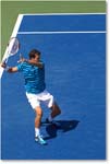 Dimitrov_(l_Janowicz_R32)_Cincy2014_2DXA3121 copy