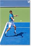 Dimitrov_(l_Janowicz_R32)_Cincy2014_2DXA3137 copy