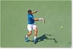 Dimitrov_(l_Janowicz_R32)_Cincy2014_2DXA3153 copy