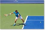 Dimitrov_(l_Janowicz_R32)_Cincy2014_2DXA3169 copy
