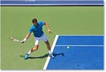 Dimitrov_(l_Janowicz_R32)_Cincy2014_2DXA3170 copy