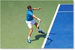 Dimitrov_(l_Janowicz_R32)_Cincy2014_2DXA3189 copy