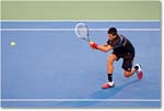 Djokovic (d Harrison R32) Cincy11_D4A7702 copy