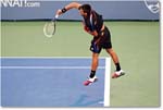 Djokovic (d Harrison R32) Cincy11_D4A7710 copy