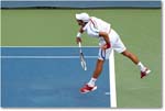 Djokovic (d Stepanek R16) Cincy11_D4A8510 copy