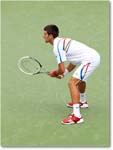 Djokovic (d Stepanek R16) Cincy11_D4A8563 copy