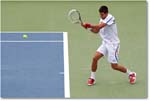 Djokovic (d Stepanek R16) Cincy11_D4A8569 copy