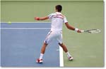 Djokovic (d Stepanek R16) Cincy11_D4A8573 copy