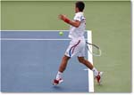 Djokovic (d Stepanek R16) Cincy11_D4A8574 copy
