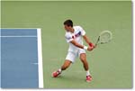 Djokovic (d Stepanek R16) Cincy11_D4A8610 copy