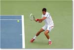 Djokovic (d Stepanek R16) Cincy11_D4A8612 copy