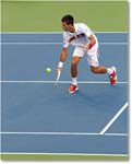 Djokovic (d Stepanek R16) Cincy11_D4A8673 copy