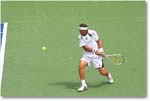Ferrer (d Wawrinka R64)_Cincy09_1D3A1081 copy
