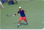 Fognini (l Stepanek R64) Cincy2013_D4C1937 copy