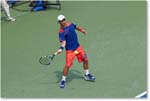 Fognini (l Stepanek R64) Cincy2013_D4C1938 copy