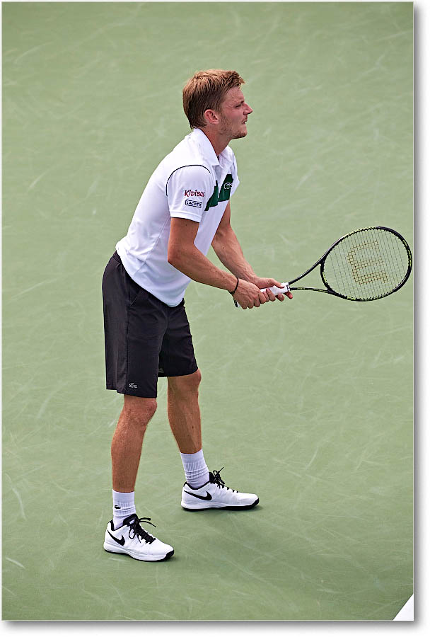 Goffin_(d_Verdasco_R23)_Cincy2015_2DXB0100 copy