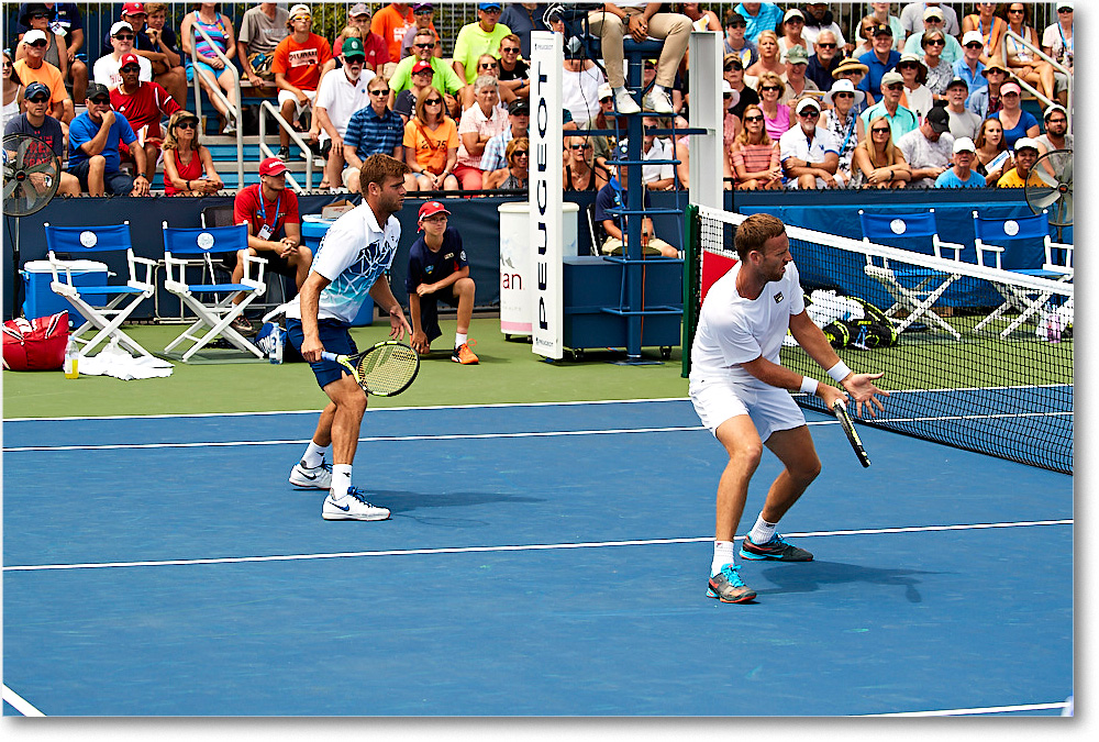 HarrisonVenus_(d_JohnsonNestor_R32)_Cincy2017_4DXA9067 copy