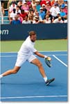 HarrisonVenus_(d_JohnsonNestor_R32)_Cincy2017_4DXA9210 copy