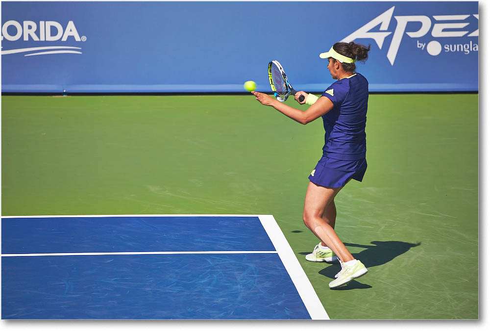 HingisMirza_(d_McHaleVandeweghe_QF)_Cincy2015_2DXB1010 copy