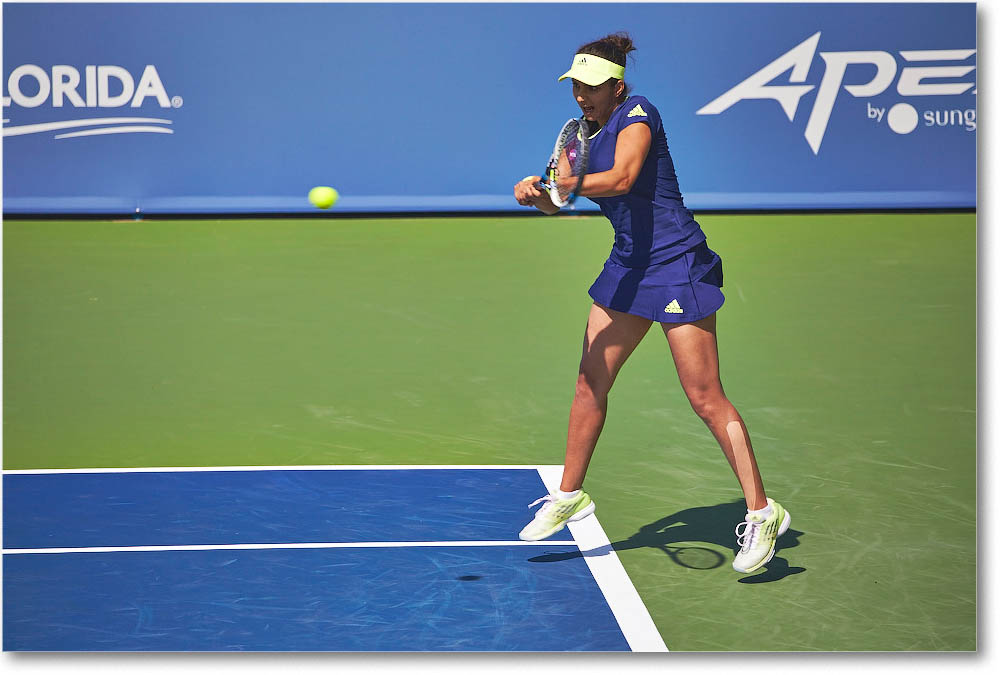 HingisMirza_(d_McHaleVandeweghe_QF)_Cincy2015_2DXB1067 copy