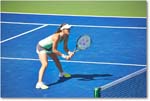 HingisMirza_(d_McHaleVandeweghe_QF)_Cincy2015_2DXB0988 copy