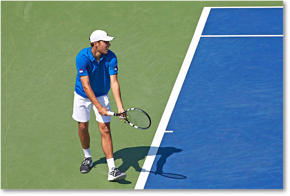 Janowicz_(d_Dimitrov_R32)_Cincy2014_2DXA3010 copy