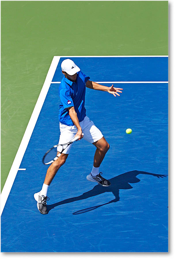Janowicz_(d_Dimitrov_R32)_Cincy2014_2DXA3078 copy