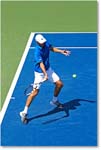 Janowicz_(d_Dimitrov_R32)_Cincy2014_2DXA3078 copy