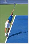 Janowicz_(d_Dimitrov_R32)_Cincy2014_2DXA3083 copy