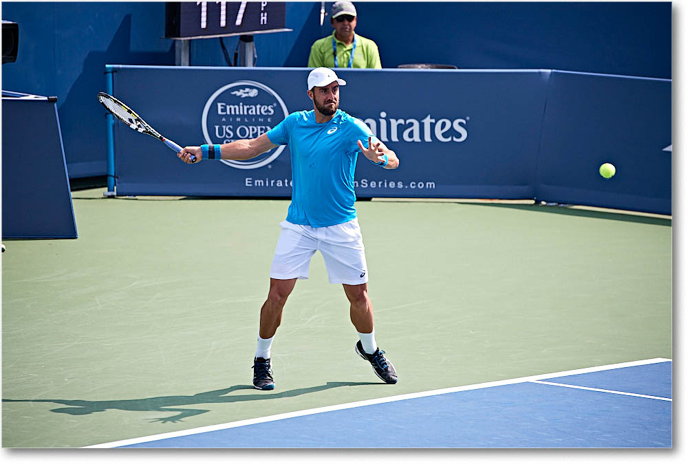 Johnson_(l_Dimitrov_QF)_Cincy2016_4DXA5484 copy