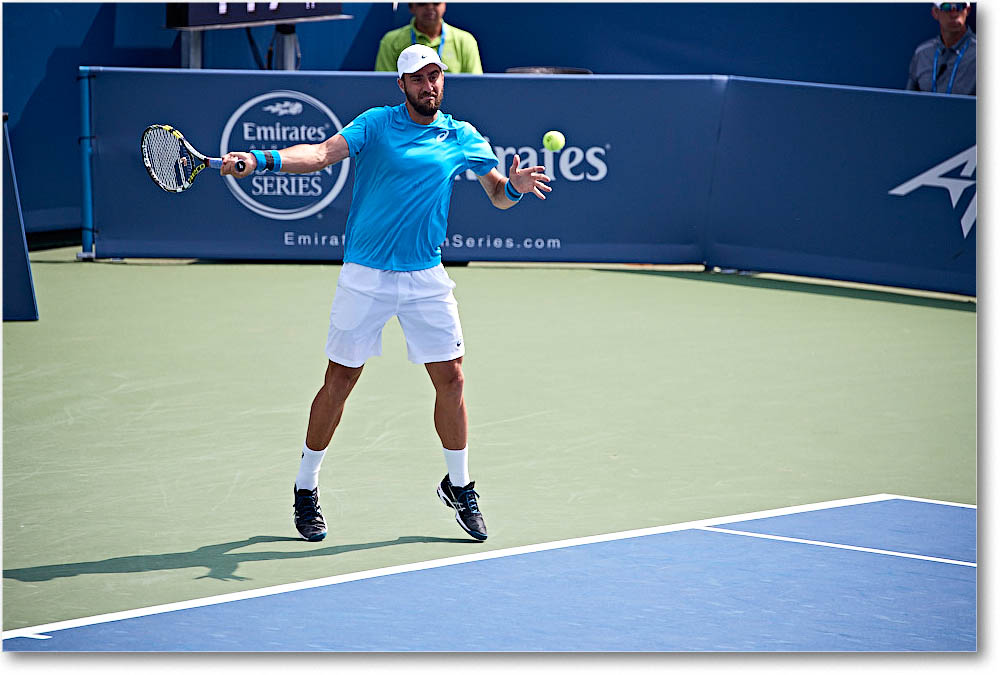 Johnson_(l_Dimitrov_QF)_Cincy2016_4DXA5485 copy