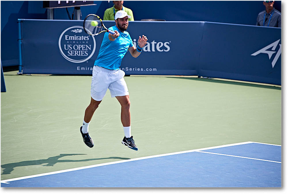 Johnson_(l_Dimitrov_QF)_Cincy2016_4DXA5486 copy