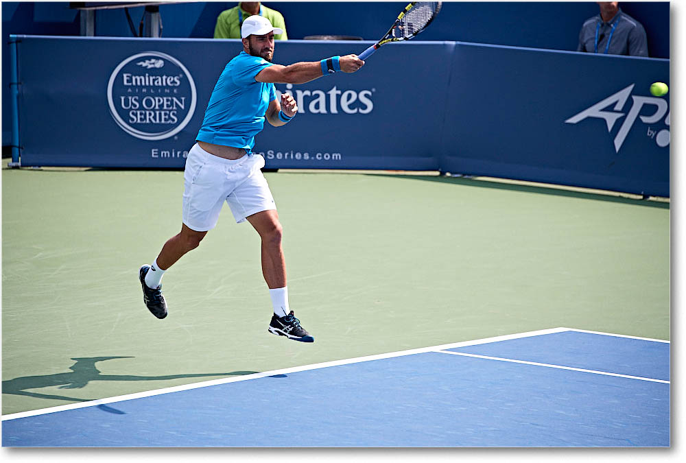 Johnson_(l_Dimitrov_QF)_Cincy2016_4DXA5487 copy