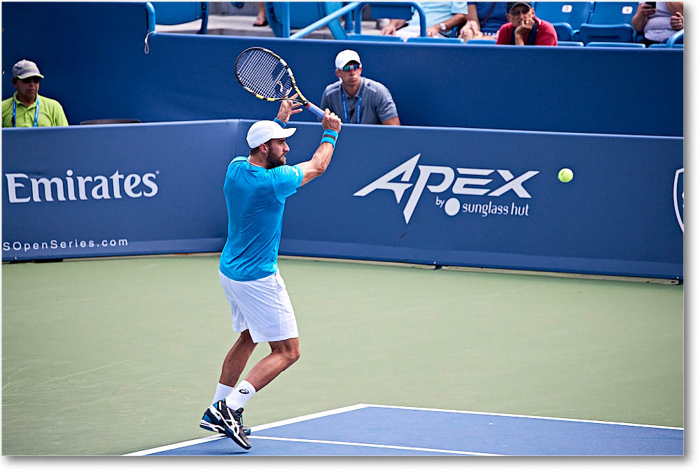 Johnson_(l_Dimitrov_QF)_Cincy2016_4DXA5595 copy