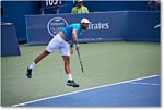 Johnson_(l_Dimitrov_QF)_Cincy2016_4DXA5572 copy