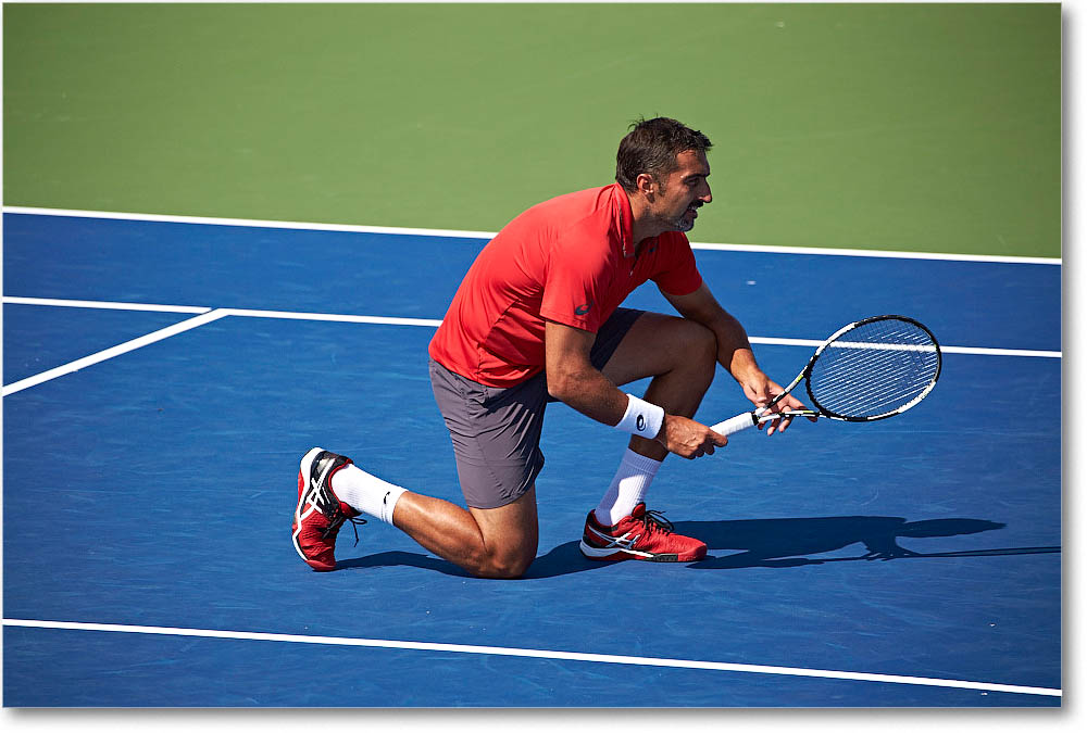 NestorRVasselin_(d_MatkowskiZimonjic_Final)_Cincy2015_2DXB1604 copy