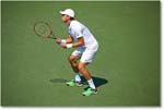 NestorRVasselin_(d_MatkowskiZimonjic_Final)_Cincy2015_2DXB1603 copy