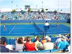 Court9-Cincy2013_IMG_2542 copy