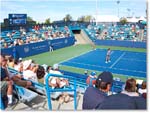 Court9-Cincy2013_IMG_2543 copy