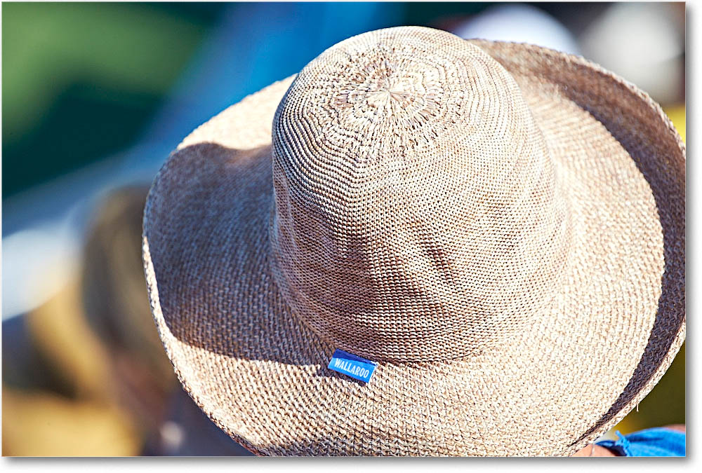 HatsInTheCrowd_Cincy2015_2DXB1410 copy