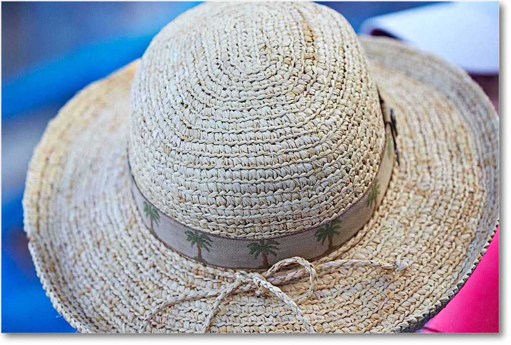 HatsInTheCrowd_Cincy2015_2DXB1422 copy