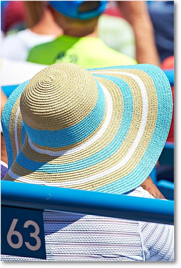 HatsInTheCrowd_Cincy2015_2DXB1539 copy